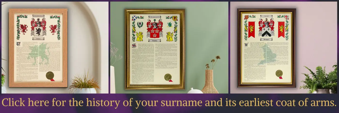 Heraldry Symbols and What They Mean - Hall of Names