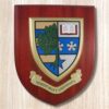 Printed Shield - Image 18