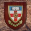 Printed Shield - Image 19