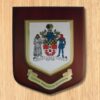 Printed Shield - Image 6