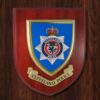 Printed Shield - Image 7