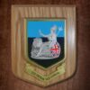 Printed Shield - Image 9