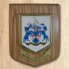 Printed Shield - Image 10