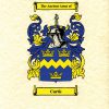 Coat of Arms / Family Crest, Unframed - A4 Size Print - Unique Personalised Gift - FREE UK delivery